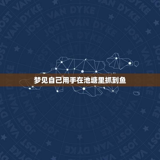 梦见自己用手在池塘里抓到鱼，梦见鱼塘往下放水抓了很多大鱼