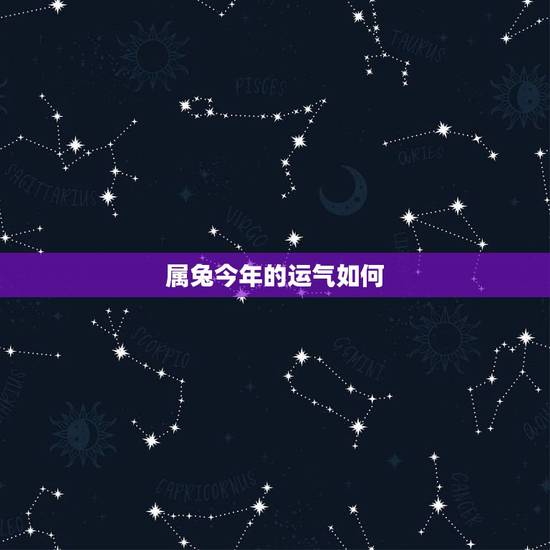 属兔今年的运气如何,属兔的今年运气怎样 属兔今年的运气如何,属兔的今年运气怎样