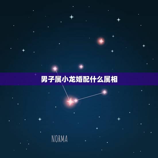 男子属小龙婚配什么属相，属龙的和什么属相最配 属龙人的婚配表？
