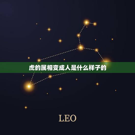 虎的属相变成人是什么样子的,生肖虎的男生看到长得好看的,女生都是什么样 虎的属相变成人是什么样子的,生肖虎的男生看到长得好看的,女生都是什么样