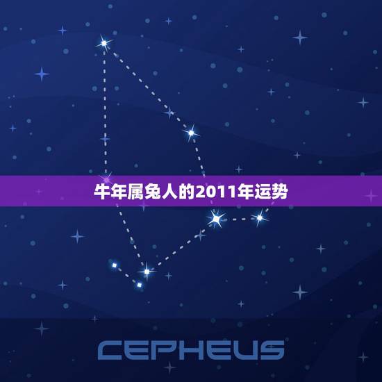 牛年属兔人的2011年运势，2022 年属兔人的全年运势