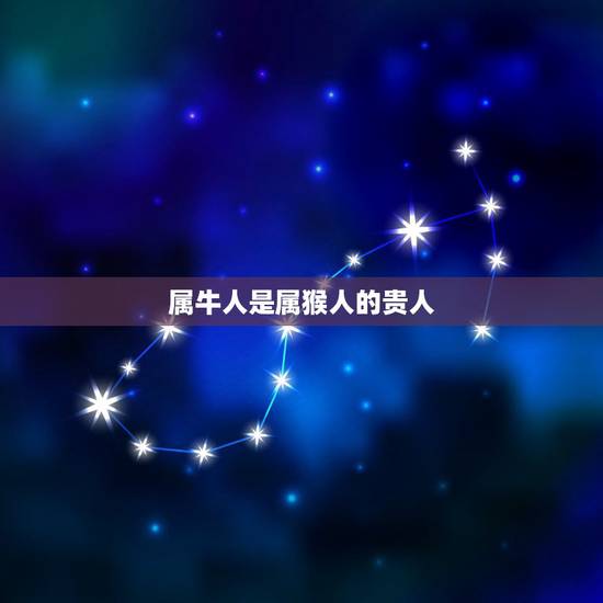 属牛人是属猴人的贵人，属猴的人生什么属相的宝宝好