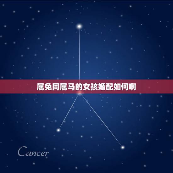属兔同属马的女孩婚配如何啊,属兔和属马婚配如何? 属兔同属马的女孩婚配如何啊,属兔和属马婚配如何?