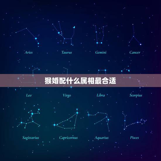 猴婚配什么属相最合适,属猴的男人和什么属相最配 猴婚配什么属相最合适,属猴的男人和什么属相最配