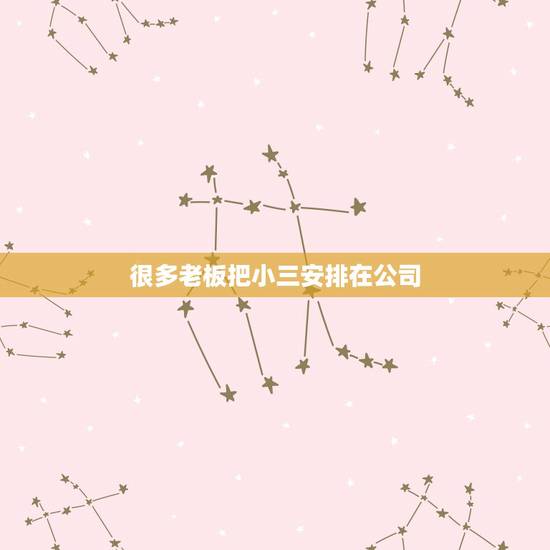 很多老板把小三安排在公司，我和别人合伙开公司，合伙人竟然把自己的小三弄