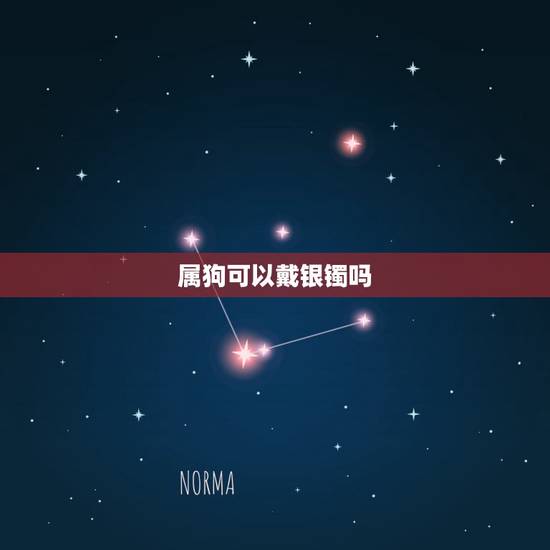 属狗可以戴银镯吗，适合戴银镯子的属相