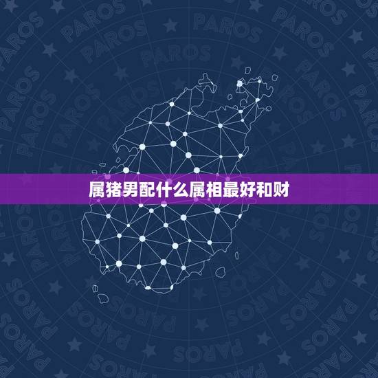 属猪男配什么属相最好和财,属猪男和什么属相女配婚最好 属猪男配什么属相最好和财,属猪男和什么属相女配婚最好