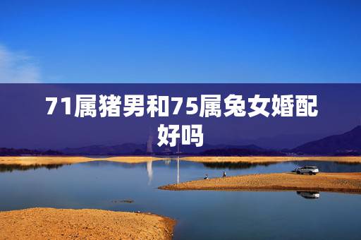 71属猪男和75属兔女婚配好吗,75年属兔的女性能和71年属猪的男性成 71属猪男和75属兔女婚配好吗,75年属兔的女性能和71年属猪的男性成