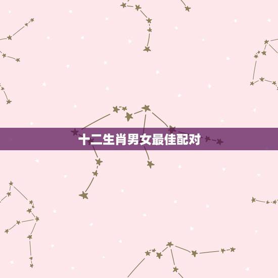 十二生肖男女最佳配对,十二生肖配对 十二生肖男女最佳配对,十二生肖配对