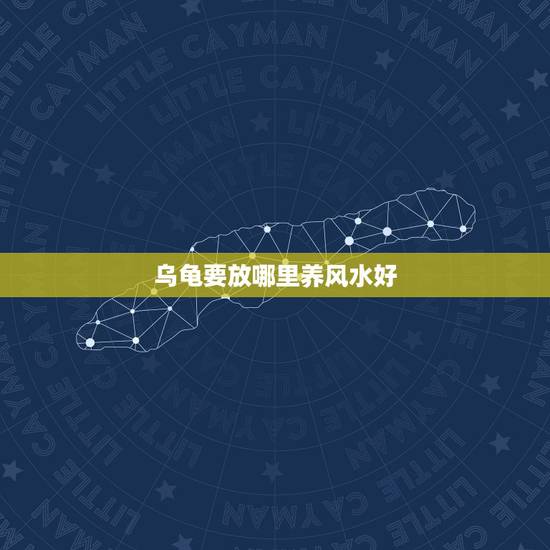 乌龟要放哪里养风水好，家里乌龟按风水往哪摆放