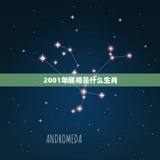 2001年属相是什么生肖，2001年的生肖是什么