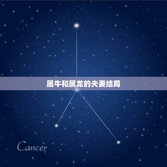 属牛和属龙的夫妻结局，龙和牛在一起财运好吗