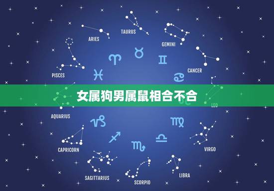 女属狗男属鼠相合不合，属狗女和属鼠男相配吗？