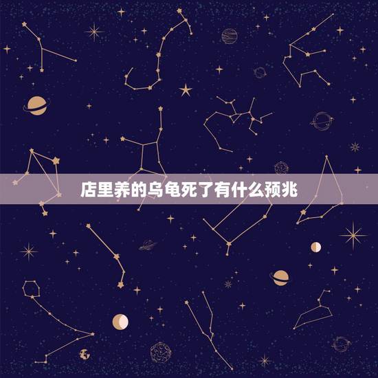 店里养的乌龟死了有什么预兆，做生意家养的乌龟死了有什么预兆