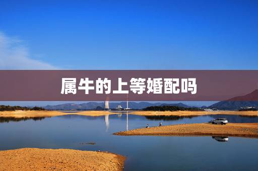 属牛的上等婚配吗,属牛的和属虎的相配吗 属牛的上等婚配吗,属牛的和属虎的相配吗