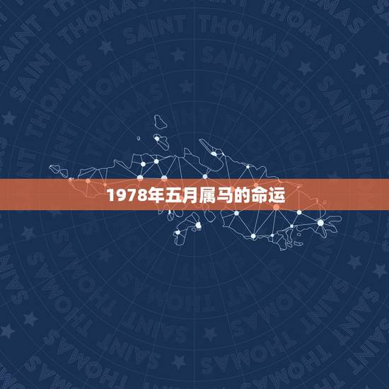 1978年五月属马的命运，1978年5月份的马是什么样的命运