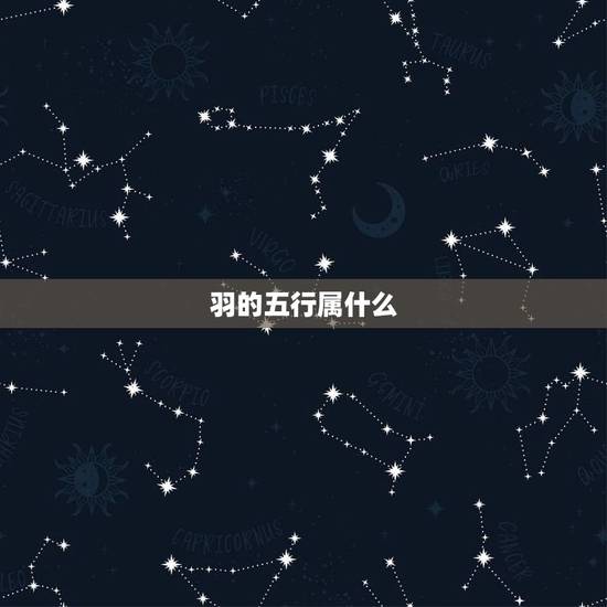 羽的五行属什么,五行分别代表什么? 羽的五行属什么,五行分别代表什么?