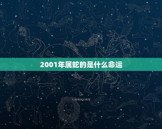 2001年属蛇的是什么命运，76年属龙三大坎