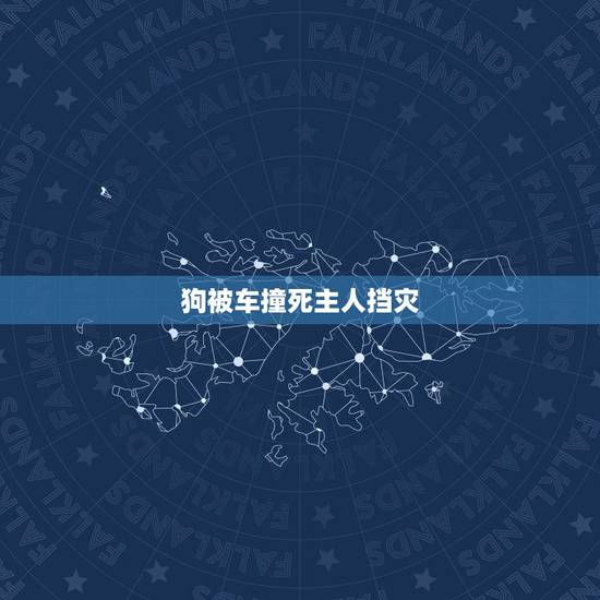 狗被车撞死主人挡灾,车撞死狗有什么预兆 狗被车撞死主人挡灾,车撞死狗有什么预兆