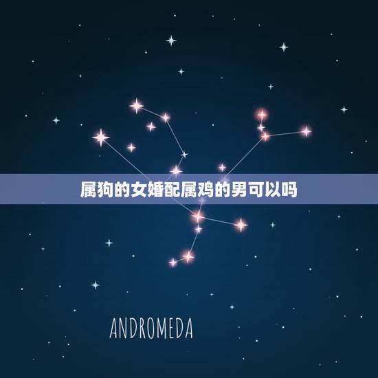 属狗的女婚配属鸡的男可以吗，男属狗女属鸡能结婚吗？