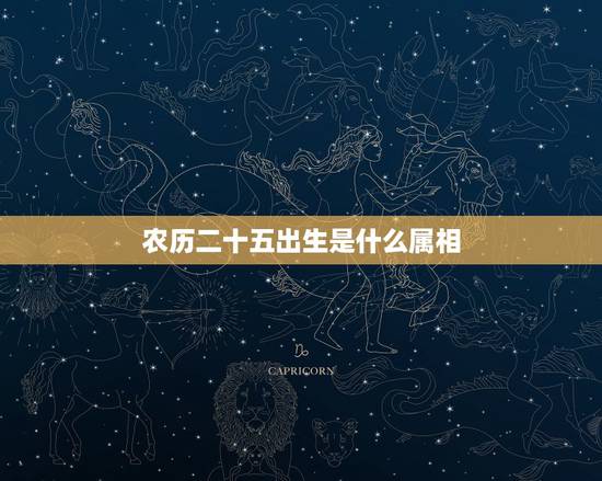农历二十五出生是什么属相,1991年,农历十二月二十五出生的婚配啥属相 农历二十五出生是什么属相,1991年,农历十二月二十五出生的婚配啥属相