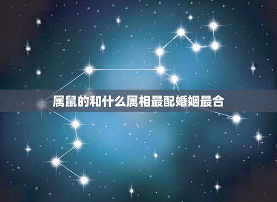 属鼠的和什么属相最配婚姻最合,1996属鼠的三大坎 属鼠的和什么属相最配婚姻最合,1996属鼠的三大坎