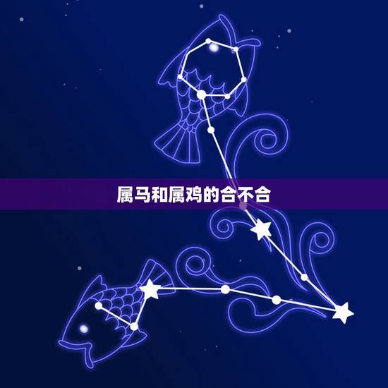 属马和属鸡的合不合，属马做生意合财属相