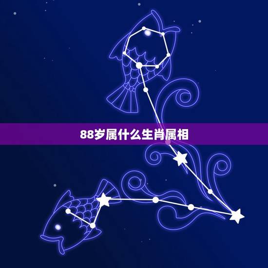 88岁属什么生肖属相，74岁属什么生肖属相
