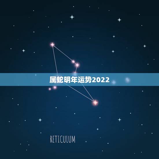 属蛇明年运势2022，2022到2023年属蛇运势
