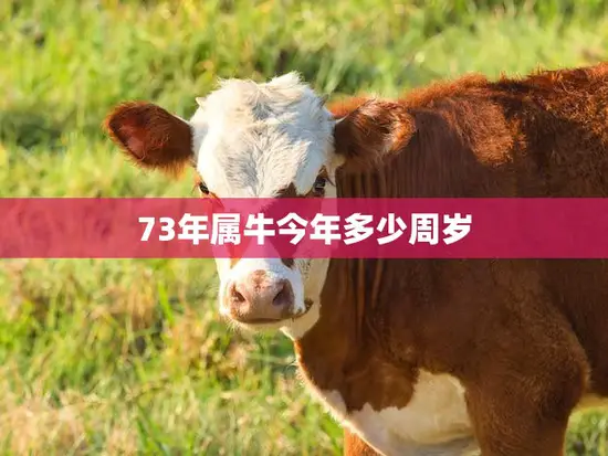 73年属牛今年多少周岁(如何计算属牛人的年龄) 73年属牛今年多少周岁(如何计算属牛人的年龄)
