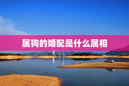 属狗的婚配是什么属相,属龙和什么属相最配 属狗的婚配是什么属相,属龙和什么属相最配