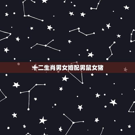 十二生肖男女婚配男鼠女猪,属相婚配:男属龙和女属鼠相配吗? 十二生肖男女婚配男鼠女猪,属相婚配:男属龙和女属鼠相配吗?