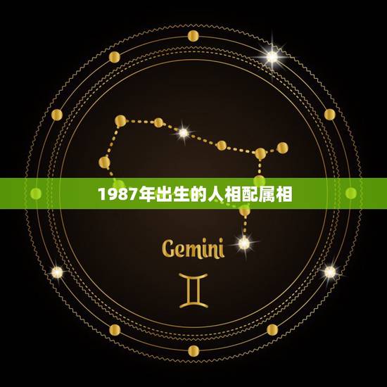 1987年出生的人相配属相,1987年属兔的人配什么生肖比较好 1987年出生的人相配属相,1987年属兔的人配什么生肖比较好