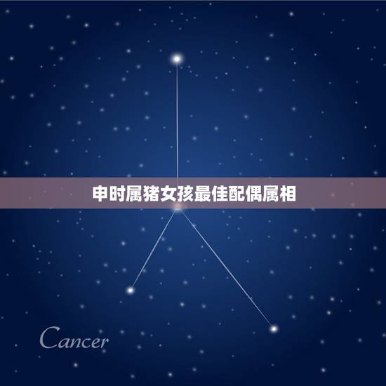 申时属猪女孩最佳配偶属相，属猪的最佳配偶 属猪的命运性格 属猪的和什么