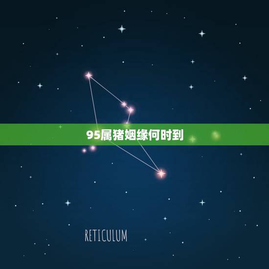 95属猪姻缘何时到,1995属猪男的命运与婚姻 95属猪姻缘何时到,1995属猪男的命运与婚姻