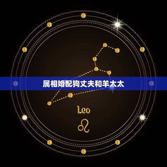 属相婚配狗丈夫和羊太太，狗羊和什么属相比较配