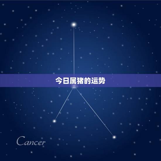 今日属猪的运势,属猪的今日幸运色 今日属猪的运势,属猪的今日幸运色