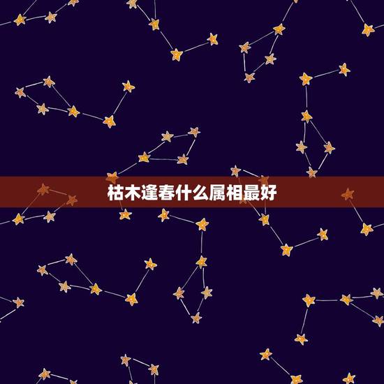 枯木逢春什么属相最好，怎样评价相声《枯木逢春》？
