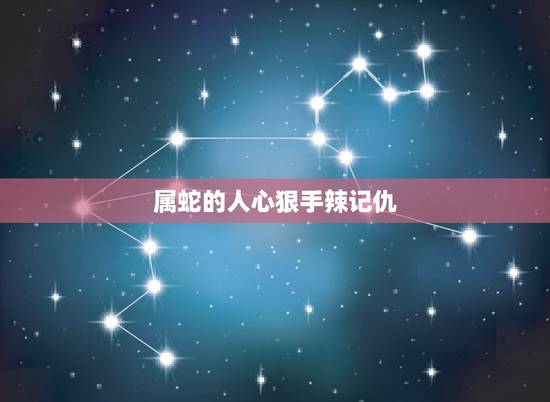 属蛇的人心狠手辣记仇,1995年属猪2022 年运势 属蛇的人心狠手辣记仇,1995年属猪2022 年运势