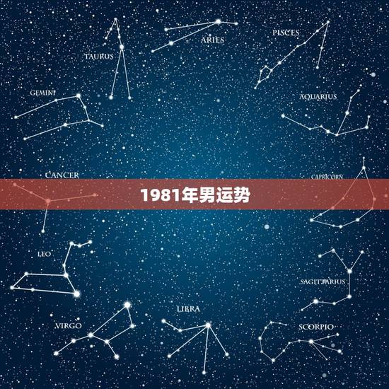 1981年男运势,我是1981年生的 男 帮我分析一下 事业 爱情 健 1981年男运势,我是1981年生的 男 帮我分析一下 事业 爱情 健