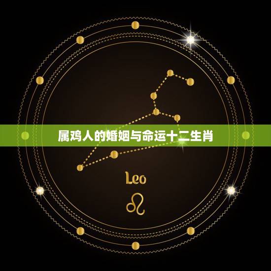 属鸡人的婚姻与命运十二生肖，属鸡人的婚姻与命运