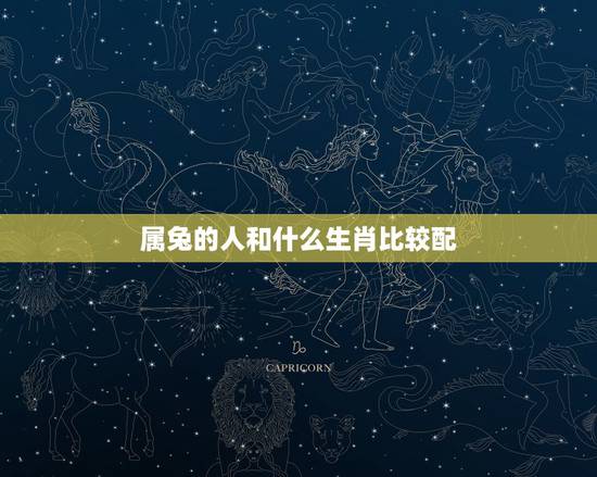 属兔的人和什么生肖比较配，属兔的配什么生肖更好