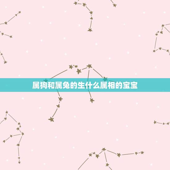 属狗和属兔的生什么属相的宝宝，我老公属狗我属兔，请问孩子属什么比较好啊