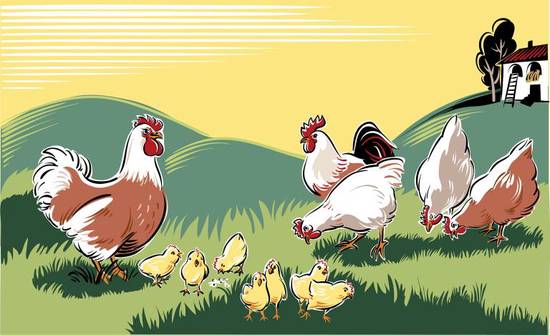 81年属鸡2023运势(展望事业上有突破财运亦佳)