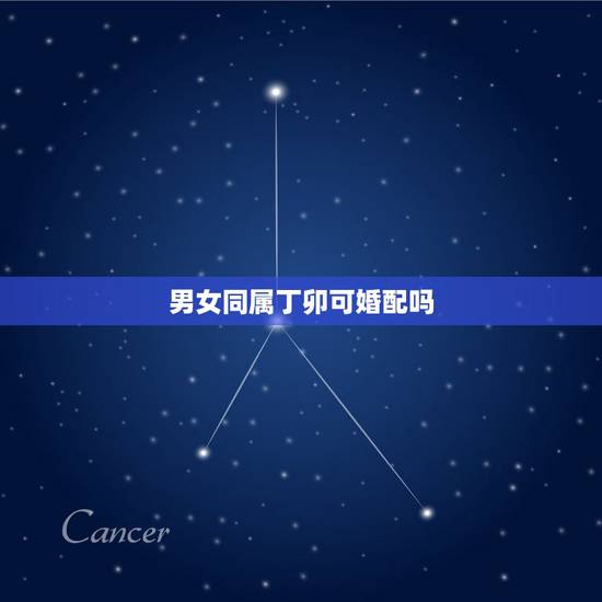 男女同属丁卯可婚配吗，丁卯兔与丙辰龙合婚么