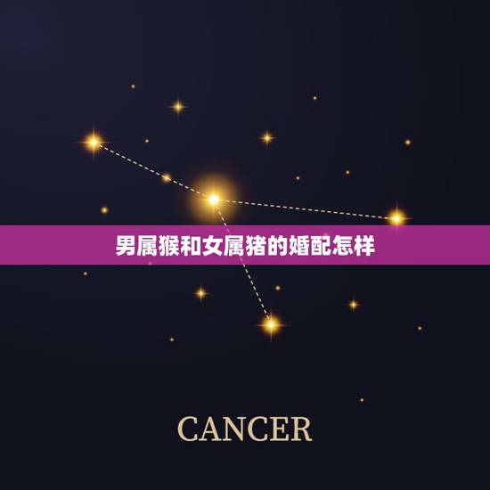 男属猴和女属猪的婚配怎样，男属猴女属猪，能在一起吗？