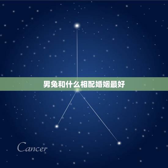 男兔和什么相配婚姻最好,属兔和什么属相比较相配 男兔和什么相配婚姻最好,属兔和什么属相比较相配