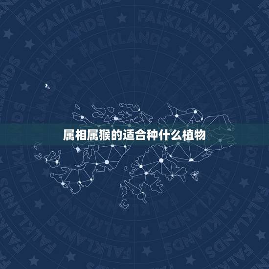 属相属猴的适合种什么植物，属猴的养什么植物旺财