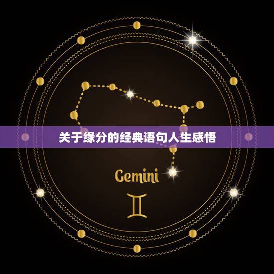 关于缘分的经典语句人生感悟，人生百味经典句子感悟