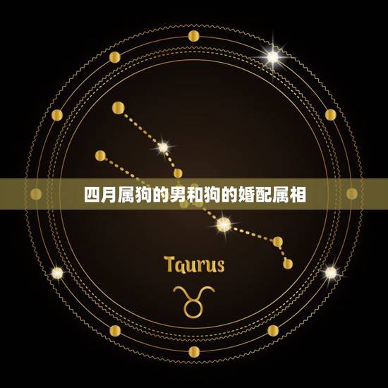 四月属狗的男和狗的婚配属相,属狗的最佳配偶属相 四月属狗的男和狗的婚配属相,属狗的最佳配偶属相